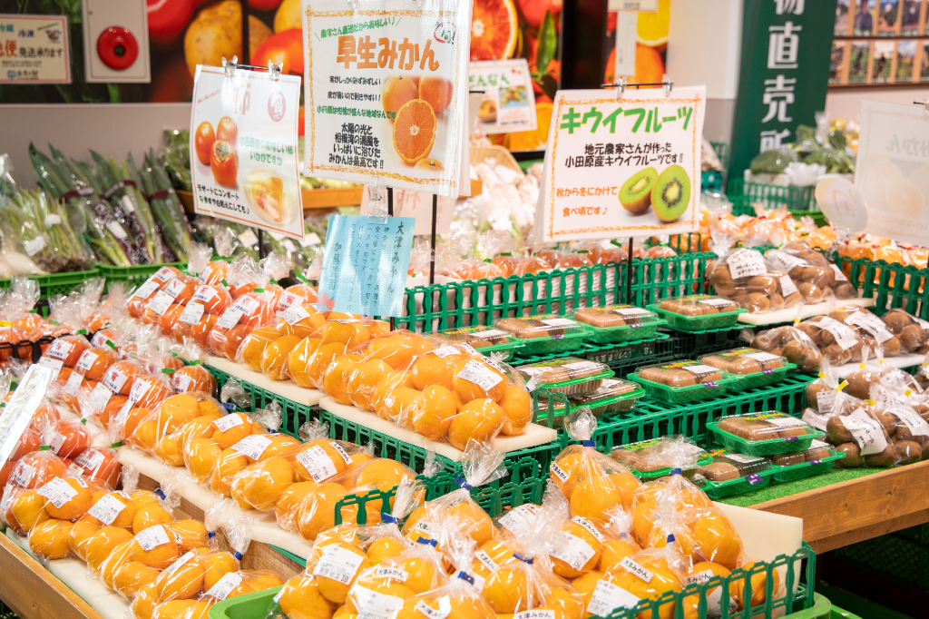 漁港の駅TOTOCO小田原(神奈川県小田原市/小田原駅/その他(販売・サービス・アパレル系))_3
